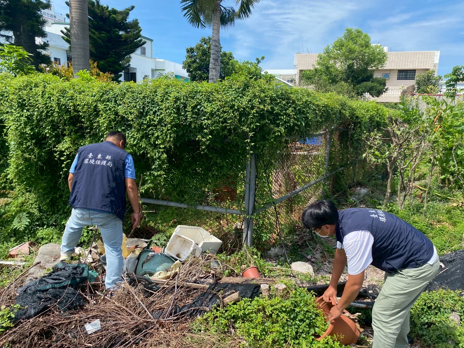 端午「驅瘟送毒」環保局呼籲防登革熱「巡倒清刷」 